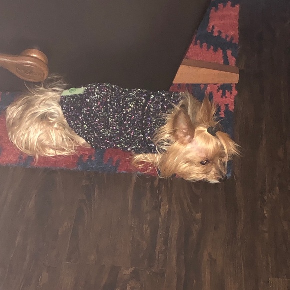 Meet your Posher, KKelly - Picture 1 of 2